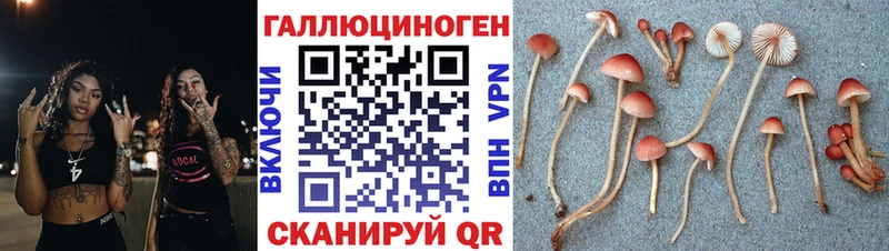 Купить  Сорск  Псилоцибиновые грибы мухоморы 